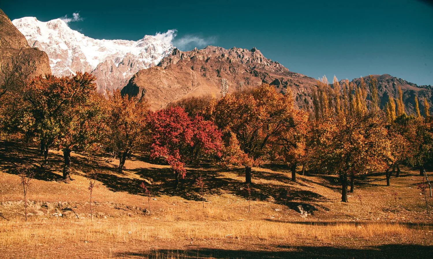 Women Only Tours Pakistan: Native Hunza Valley Local Experience Autumn foliage in Hunza Valley with golden trees lining the riverbanks under Karakoram peaks