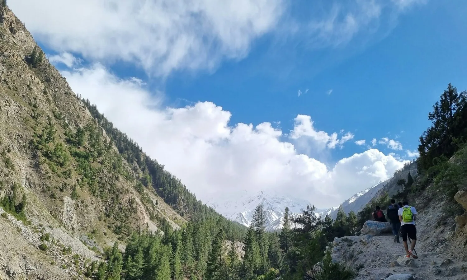 Fairy Meadows glamping site